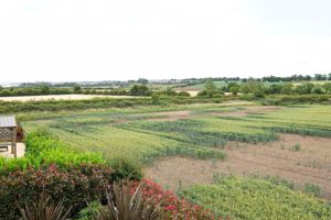 Photo 46- click for photo gallery